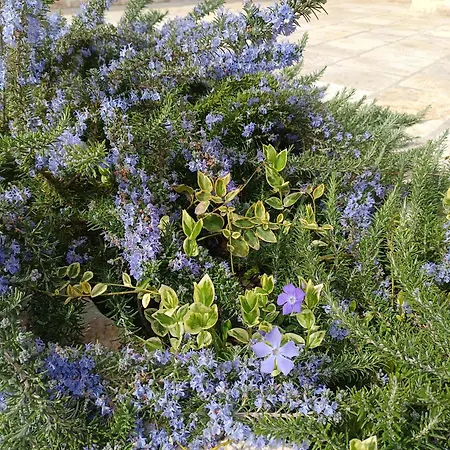 Βίλα Trulli Lavermicocca *