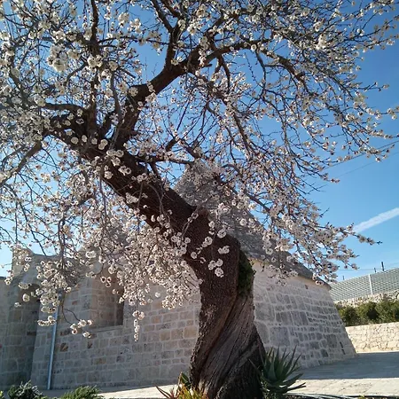 Trulli Lavermicocca