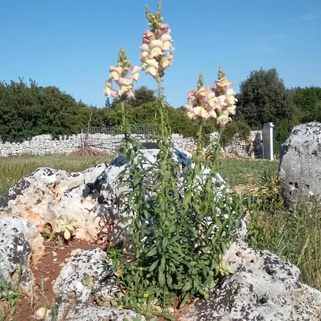 Trulli Lavermicocca *