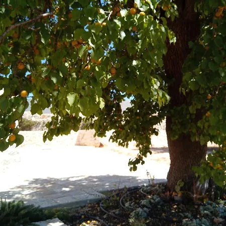 Trulli Lavermicocca *