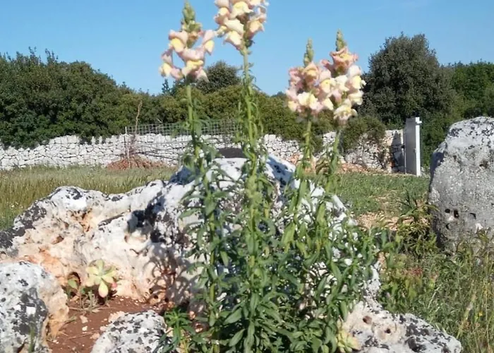 Trulli Lavermicocca *